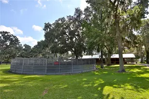 13450 NW Gainesville Rd, Reddick, FL 32686 - Photo 22