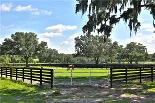 13450 NW Gainesville Rd, Reddick, FL 32686 - Photo 24
