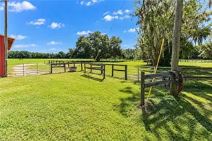 9551 NW Co Rd 345, Chiefland, FL 32626 - Photo 72