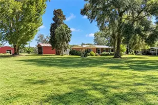 9551 NW Co Rd 345, Chiefland, FL 32626 - Photo 6
