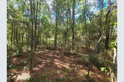996 N Charles Avenue, Inverness, FL 34453 - Photo 8