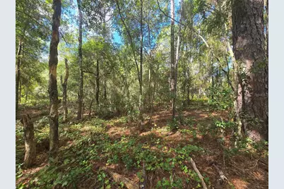 996 N Charles Avenue, Inverness, FL 34453 - Photo 12