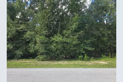 366 S Savary Avenue, Inverness, FL 34453 - Photo 2