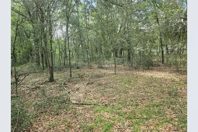 366 S Savary Avenue, Inverness, FL 34453 - Photo 10