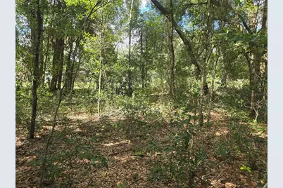 366 S Savary Avenue, Inverness, FL 34453 - Photo 12
