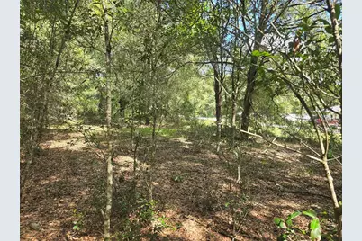 366 S Savary Avenue, Inverness, FL 34453 - Photo 8