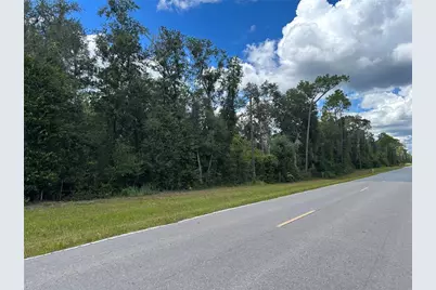 Tbd Cr 337, Morriston, FL 32668 - Photo 2