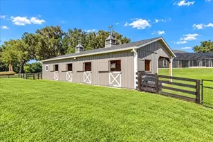 7137 NE 25th Ave Rd, Ocala, FL 34479 - Photo 82