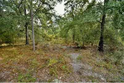 00 SW 40th Ave, Jasper, FL 32052 - Photo 26
