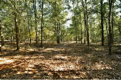 00 SW 40th Ave, Jasper, FL 32052 - Photo 2