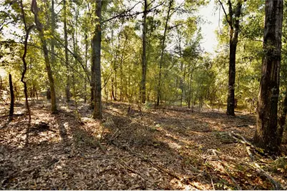 00 SW 40th Ave, Jasper, FL 32052 - Photo 30
