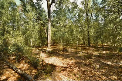 00 SW 40th Ave, Jasper, FL 32052 - Photo 16