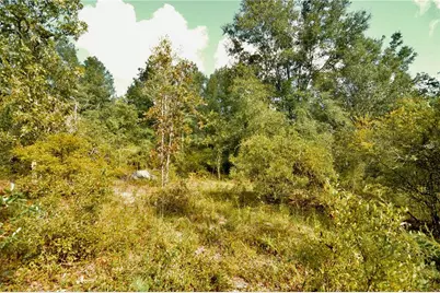 00 SW 40th Ave, Jasper, FL 32052 - Photo 66