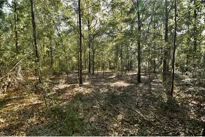 00 SW 40th Ave, Jasper, FL 32052 - Photo 24