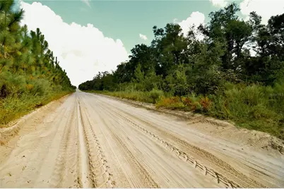 00 SW 40th Ave, Jasper, FL 32052 - Photo 14