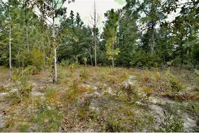 00 SW 40th Ave, Jasper, FL 32052 - Photo 28