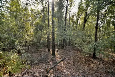 00 SW 40th Ave, Jasper, FL 32052 - Photo 18
