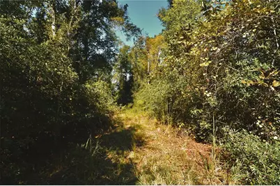 00 SW 40th Ave, Jasper, FL 32052 - Photo 32
