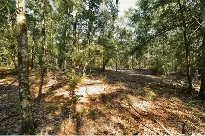 00 SW 40th Ave, Jasper, FL 32052 - Photo 48