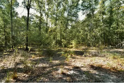 00 SW 40th Ave, Jasper, FL 32052 - Photo 62