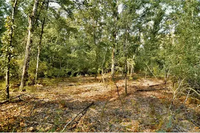 00 SW 40th Ave, Jasper, FL 32052 - Photo 52