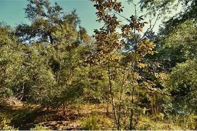00 SW 40th Ave, Jasper, FL 32052 - Photo 38