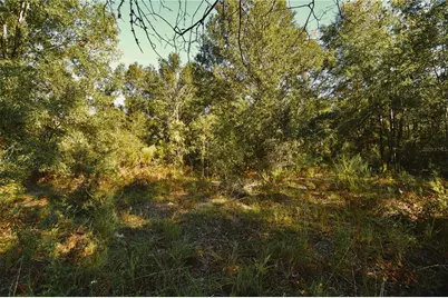00 SW 40th Ave, Jasper, FL 32052 - Photo 42