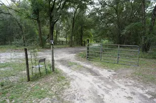 12330 NE 77th Ct, Bronson, FL 32621 - Photo 38