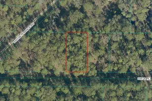 Tbd Lot 14 SW 144th Ave Rd, Ocala, FL 34481 - Photo 1
