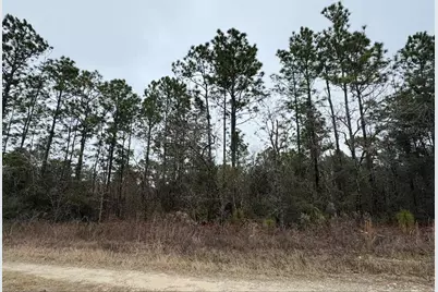 Tbd SW 91st Lane, Dunnellon, FL 34432 - Photo 2