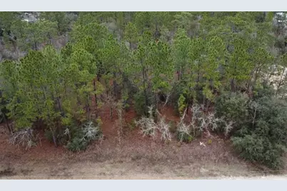 Tbd SW 91st Lane, Dunnellon, FL 34432 - Photo 1