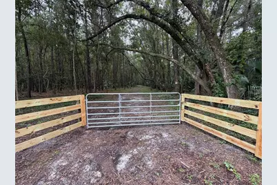 Tbd NW 160th St, Reddick, FL 32686 - Photo 2