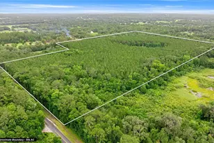 Tbd NW 160th St, Reddick, FL 32686 - Photo 1