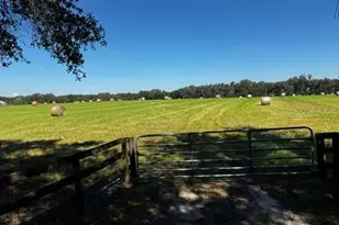 NW 100th St, Ocala, FL 34475 - Photo 1