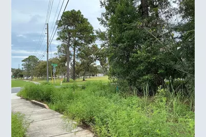Lot 1 Pine Radial Run, Ocala, FL 34472 - Photo 4