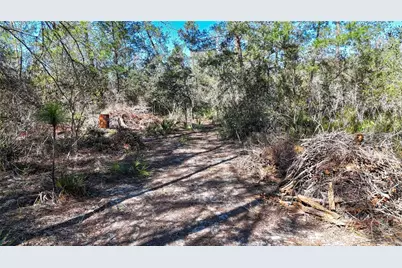 6646 N Percale Terrace, Dunnellon, FL 34433 - Photo 16