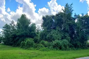 42nd Ave Rd, Ocala, FL 34473 - Photo 1