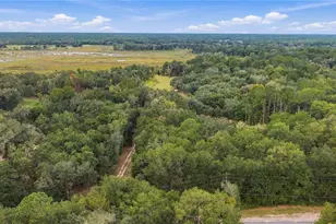 14468 NE 150th Ave, Fort Mc Coy, FL 32134 - Photo 38