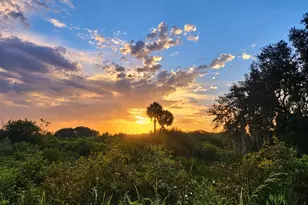 15120 NE 35th Avenue Rd, Citra, FL 32113 - Photo 14