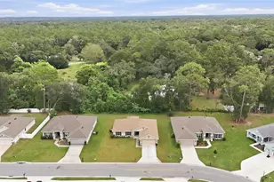 3962 NE 58th Cir, Silver Springs, FL 34488 - Photo 50