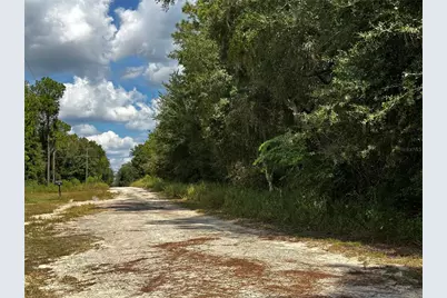 148 NE 155th Terrace, Williston, FL 32696 - Photo 36