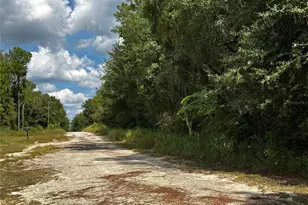 148 NE 155 Terrace, Williston, FL 32696 - Photo 36