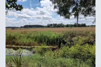 6090 N Bayfront Drive, Hernando, FL 34442 - Photo 8
