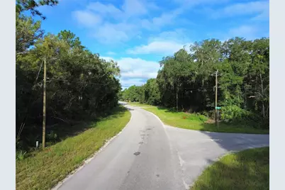 Tbd Fisher Road, Ocklawaha, FL 32179 - Photo 4