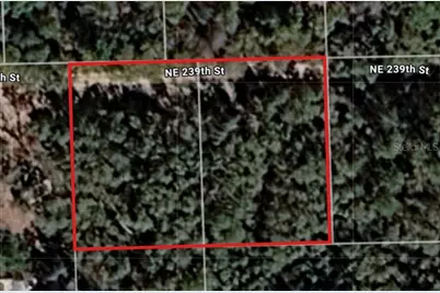 Lot 18 & 19 NE 239th Street, Fort Mc Coy, FL 32134 - Photo 1