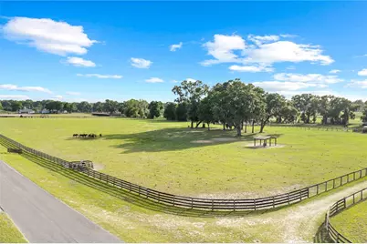 1150-14 NE 155 Pl, Citra, FL 32113 - Photo 6