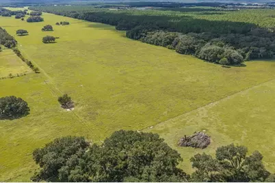 Se 215th Avenue, Morriston, FL 32668 - Photo 10