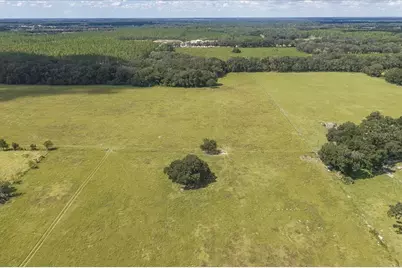 Se 215th Avenue, Morriston, FL 32668 - Photo 12