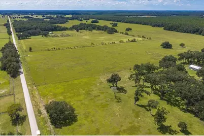 Se 215th Avenue, Morriston, FL 32668 - Photo 22