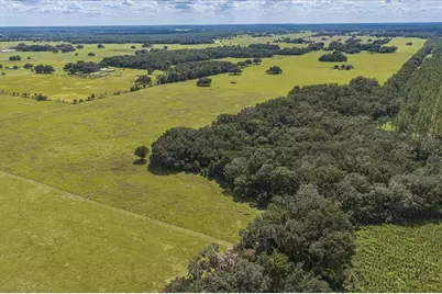 Se 215th Avenue, Morriston, FL 32668 - Photo 2